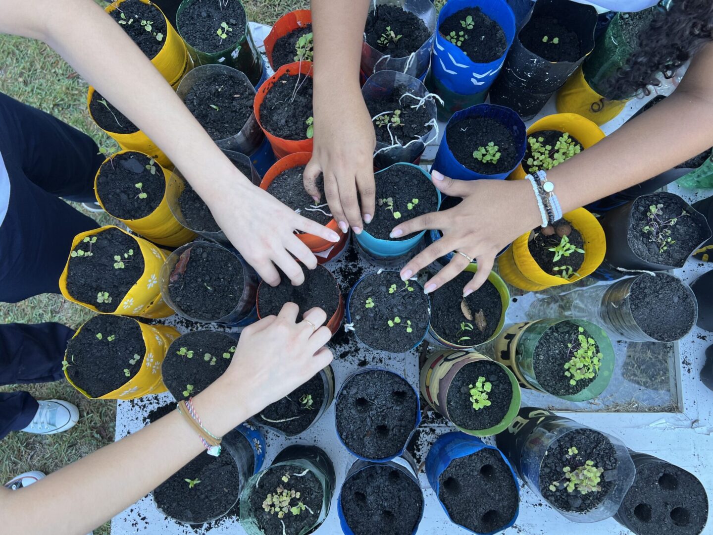 Escolas necessitam de ação e adaptação à crise climática